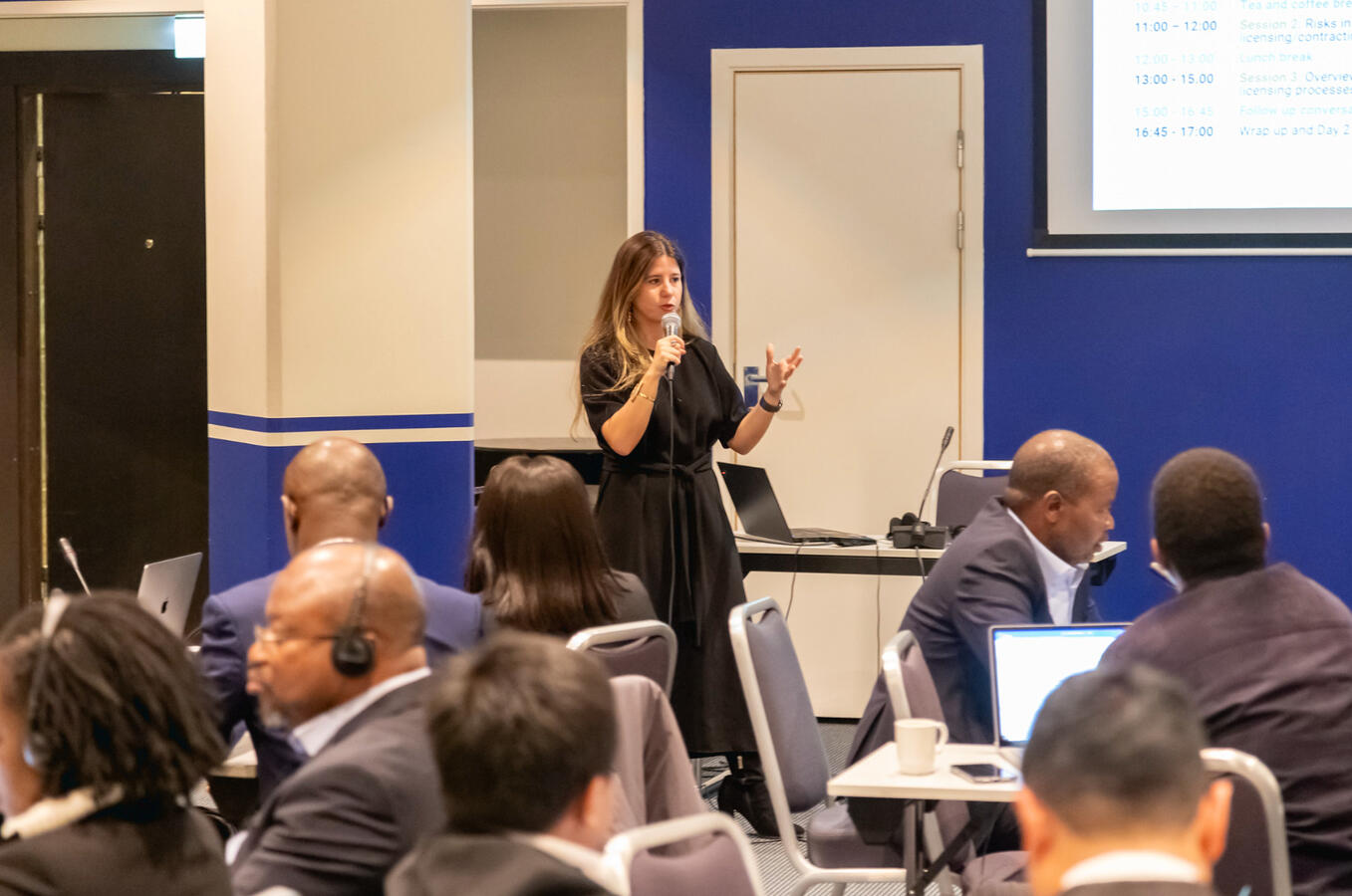 GLOBAL PEER EXCHANGE ON MINING LICENSING SCREENING